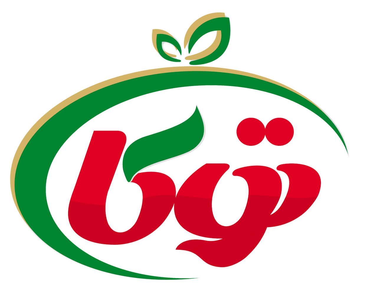 توکا پروتئین دلیحان